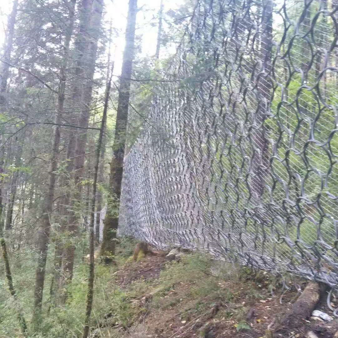 被动网