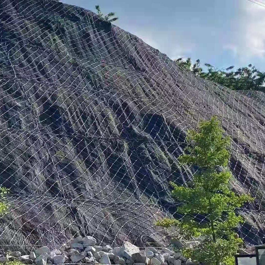主动网